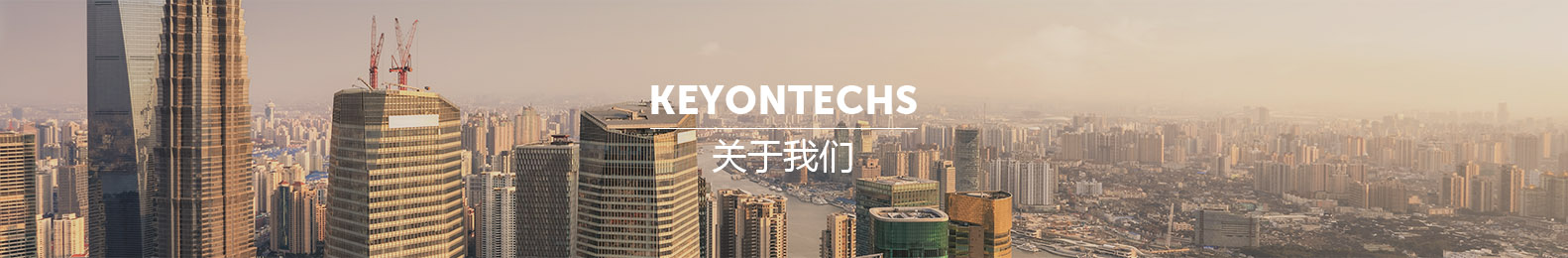 开云app体育下载